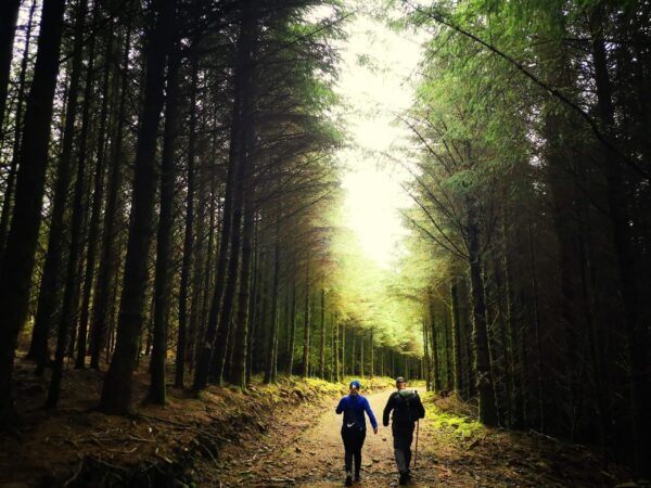 St. Declan’s Way – where old meets now! St. Declan’s Way – where old meets now!