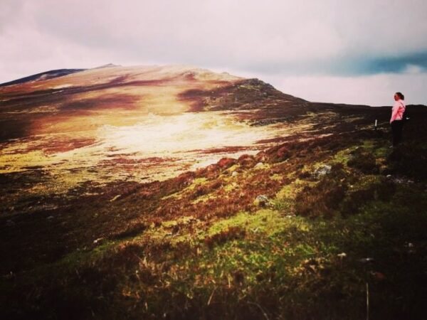 All around the blooming heather… All around the blooming heather…